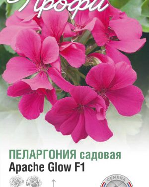 Пеларгония садовая Apache glow F1 5 шт (20 упаковок)