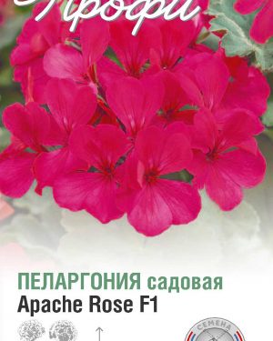 Пеларгония садовая Apache rose F1 5 шт (20 упаковок)