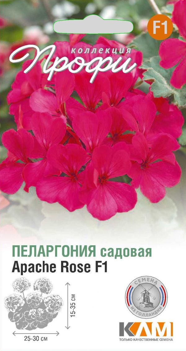 Пеларгония садовая Apache rose F1 5 шт (20 упаковок)