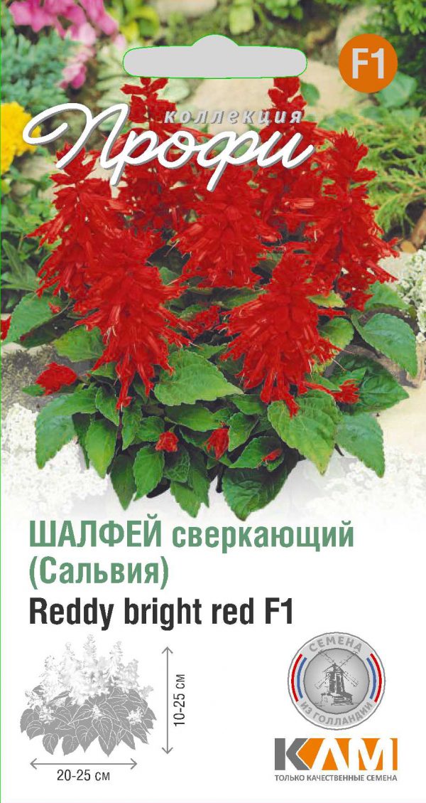 Шалфей сверкающий Reddy bright red F1 10 шт (20 упаковок)