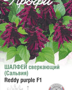 Шалфей сверкающий Reddy purple F1 10 шт (20 упаковок)