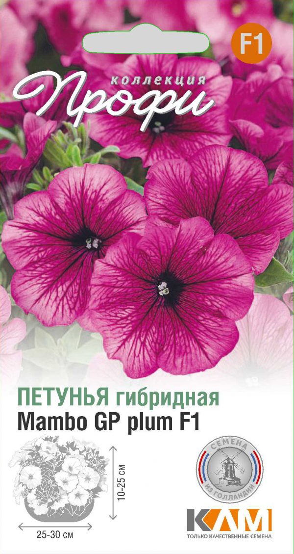 Петуния Mambo GP plum F1 10 шт (20 упаковок)