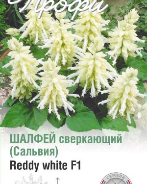 Шалфей сверкающий Reddy white F1 10 шт (20 упаковок)