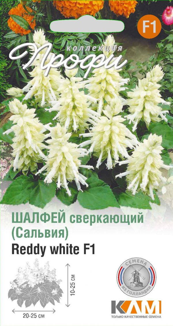 Шалфей сверкающий Reddy white F1 10 шт (20 упаковок)