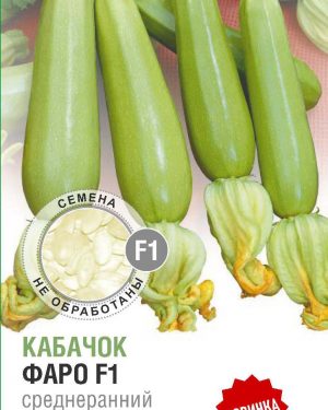 Кабачок  Фаро F1 5 шт (20 упаковок)